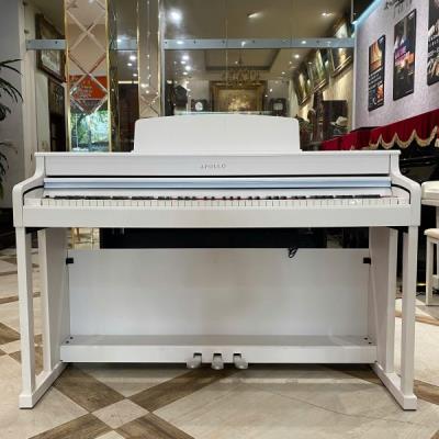 Apollo DP-260N Wh