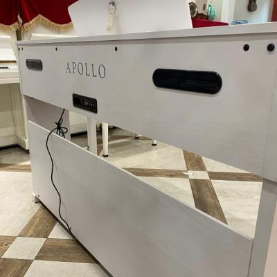 Apollo DP-260N Wh