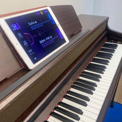 Đàn Piano Apollo DP-260N