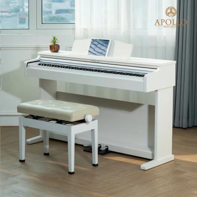 Piano Apollo DP-66 (WH)