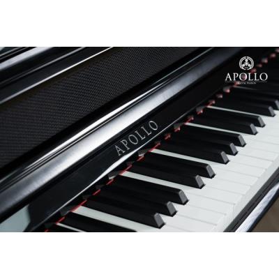 Piano Apollo KP-88