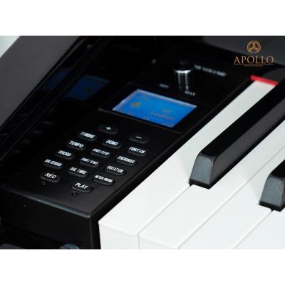 Piano Apollo KP-88